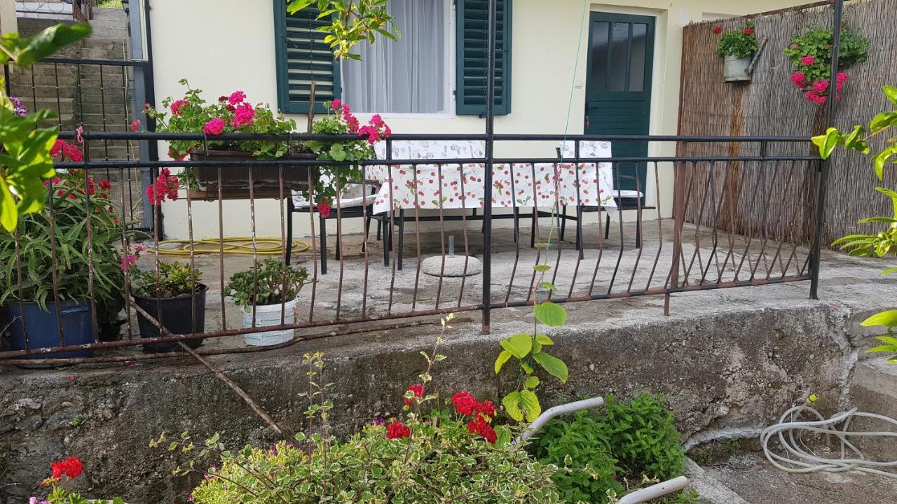 Apartment Lidija Herceg Novi Zewnętrze zdjęcie
