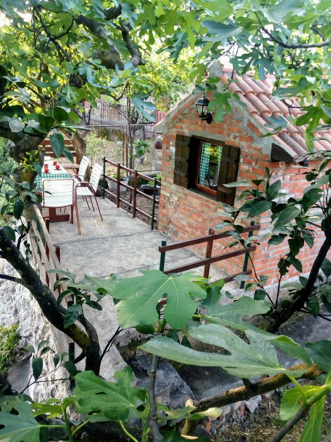 Apartment Lidija Herceg Novi Zewnętrze zdjęcie
